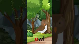 Birds names for kids#nurseryrhymes #kidschannel #funandlearning