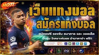 เว็บแทงบอลดีๆ | เว็บแทงบอลออนไลน์ ไม่มีขั้นต่ำ!