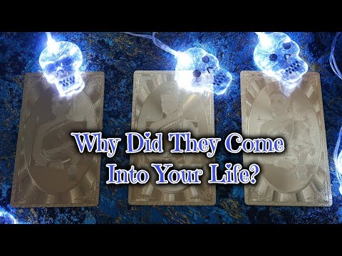 PICK A CARD 💀 Why Did They Come Into Your Life? Tarot Reading