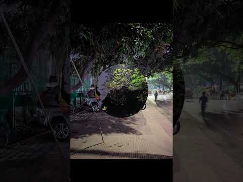Pixel 8 night Photography #pixel #smartphone #photography #cameraking #pixel8 #googlepixel8 #google