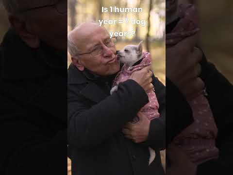 How true is 1 human year = 7 #dog  years?