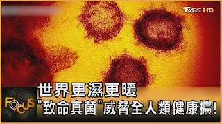 世界更濕更暖 「致命真菌」威脅全人類健康擴!｜方念華｜FOCUS全球新聞 20230210  @TVBSNEWS01