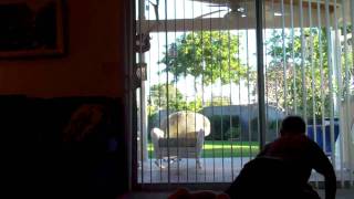 Hilarious laugh attack!