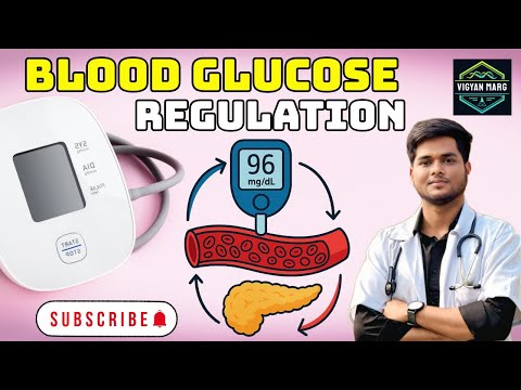 Blood Glucose Regulation - In Detail | MBBS, MSc, BSc | Vigyan Marg