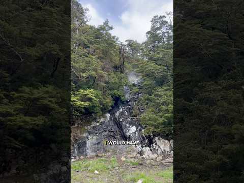 Day 66 hiking Te Araroa and still haven’t worked out how to avoid the sand flies 😅