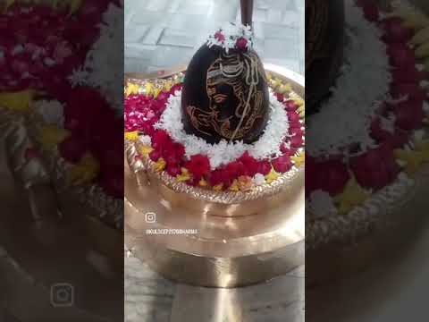 #bholenath #shiv #shingar #shambhu #harharmahadeva  #trending