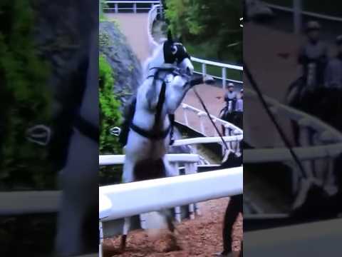 気性難ホース達による人間遊び集#競馬 #競走馬