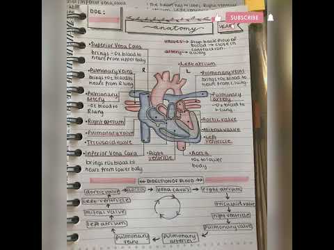 Anatomy of heart #shorts #neet #tricks #biology #facts #knowledge #heart #anatomy #dream