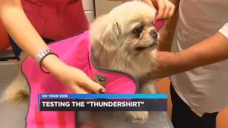 WBRC Good Day Alabama: Thundershirt for your pet: Yes or No?