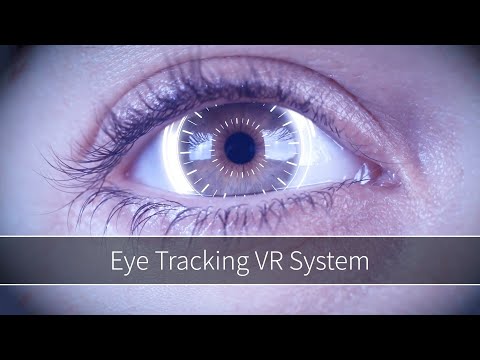 Eye Tracking VR System