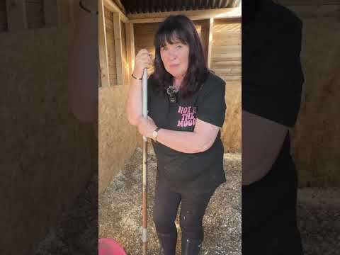 Chief 💩 shoveler #funny #farming101 #farmlife