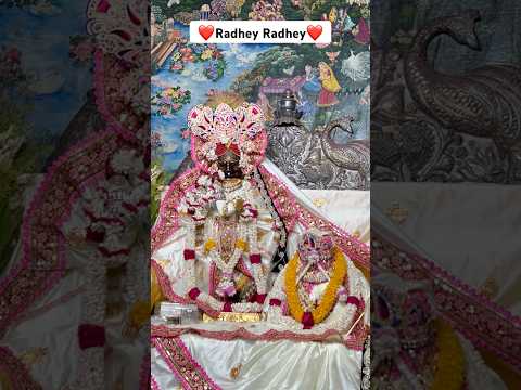 श्री राधावल्लभ श्री हरिवंश 🌸✨🤗 #trending #vrindavan #bankebihari #shortsfeed #shorts