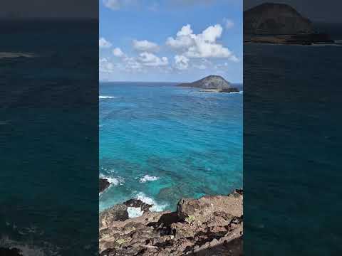 Exploring Honolulu, Oahu, Hawaii I 2025 I 4K  #shortsvideos #travel #hawaii #oahu #honolulu