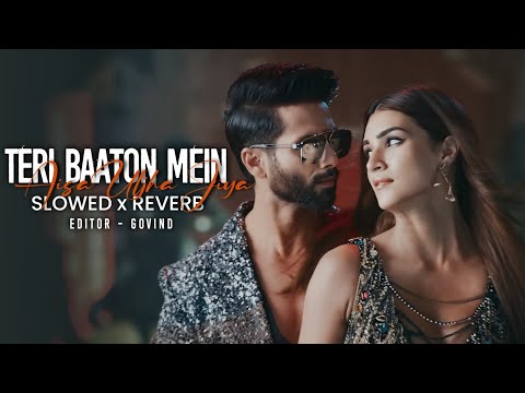 Teri baaton mein Aisa uljha jiya | slowed + reverb | lofi song | Shahid Kapoor @Sabilofi.
