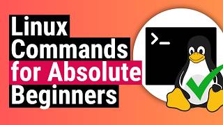 Most Useful Linux / Server Commands for Beginners