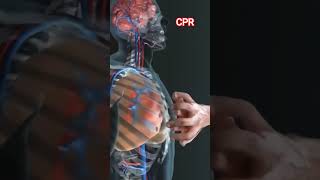 CPR ........🩺💉📖 #educationalshorts #trendingshorts #anatomy ##viralshorts #cpredsshorts #shorts
