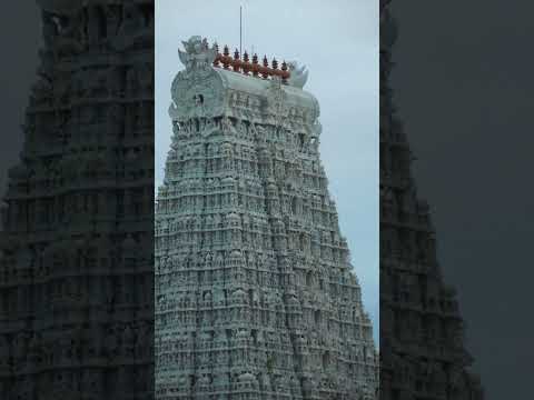Thiruchendur Panneer ilai viboothi #temple #templetales #stories #tamil #devotional #murugan #kandan