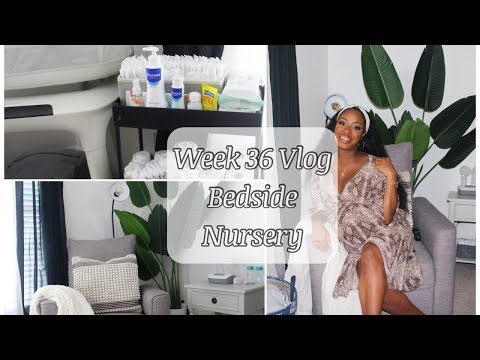 36 Week Pregnancy Vlog| Mamaroo, Bedside Nursery, Evenflo Free Breast Pump, Shopping Vlog