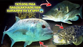 MGA NAGLALAKIHANG ISDA DUGSO, GIANT TREVALLY AT LUBA SUMAMPA SA SPOT😱 #fishing #seafood #fish #viral