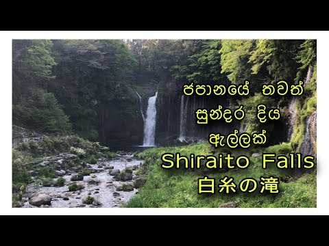 Shiraito Falls 白糸の滝 ජපානයේ තවත් සුන්දර දියඇල්ලක්