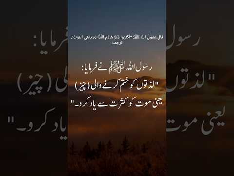 Lazaton Ko Khatm Karne Wali Cheez#quotes #grow #islamicshorts #viralvideo