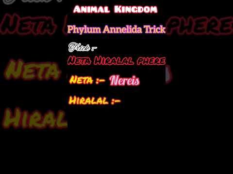 Animal Kingdom class 11 Tricks #biologytricks #neet #aiims #dreammbbs #physicswallah #ncert #gmc