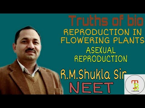 Asexual reproduction/Apomixis, Reproduction in flowering plants, NEET 2020, BY: R.M.Shukla Sir