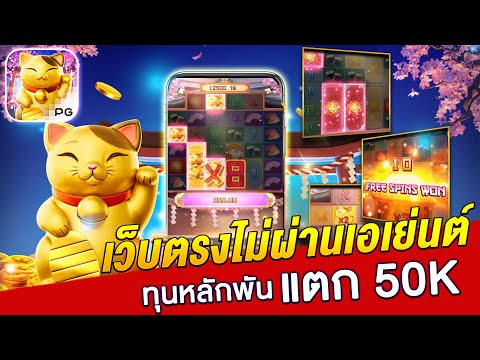 เว็บตรงไม่ผ่านเอเย่นต์ | สล็อตทุน 1000 | สล็อตเว็บตรง ของแท้ !