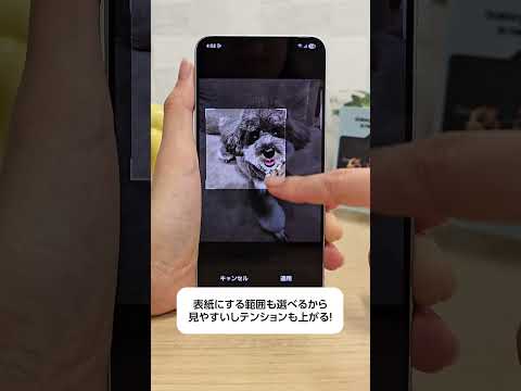 ギャラリーのアルバム表紙を変える方法📔-シーン別おススメ機能ご紹介- | Samsung Galaxy S25