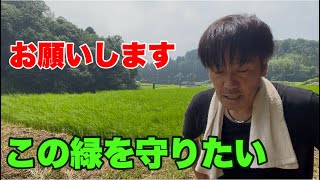 【お知らせ】緑豊かな中山間地域の田んぼを守りたい【クラウドファンディング】