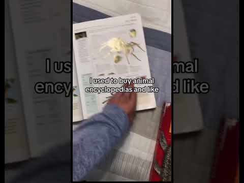 #memes #fyp #tiktok #dinosaur