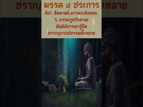 Ep14(5) มรรค8 สัมมาสติ I ความระลึกชอบ I ธรรม(นามและรูป) พิจารณารู้ชัดธรรมทั้งหลาย I #รูป #นาม #เวทนา