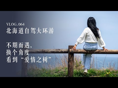 北海道自驾大环游｜不期而遇，换个角度看到“爱情之树” EP3｜疫情下星野TOMAMU的餐厅也没开｜Japan Travel ｜Hokkaido TOMAMU｜TAKO‘s Channel