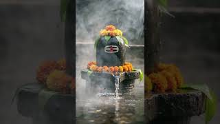 🕉️Om namah shivaya 🕉️🔱 #mahadevvibes #shivtandavaarti #harharmahadev
