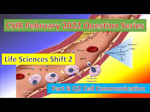 Part B Question 2 II CSIR February 2022 Shift 2
