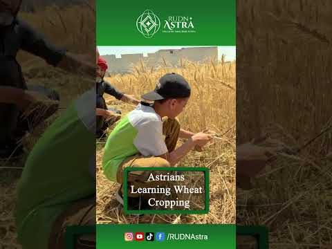 Astrians Learning Wheat Cropping | Future Farmers at RUDN Astra