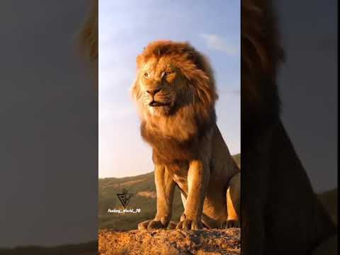 The lion king what's app status , Instagram status, KGF Garuda Dialog