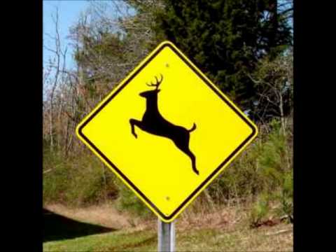 Please Move The Deer Crossing Sign ?? OMG Hilarious