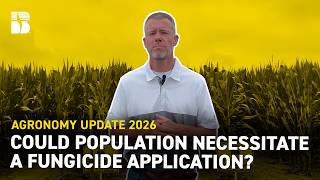 Could population necessitate a fungicide application?