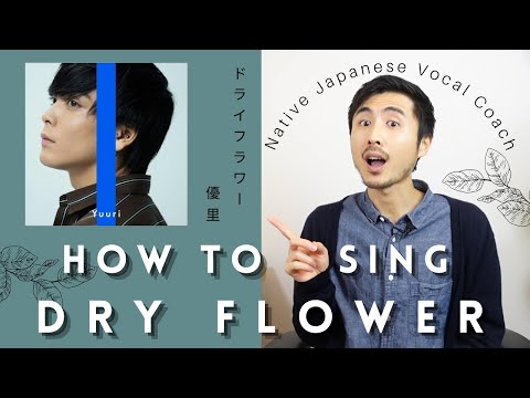 How to Sing Dry Flower by Yuuri in Japanese? explained by Japanese singing teacher ドライフラワーの歌い方