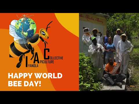 IAC, More than just Honey!! World Bee Day 2022