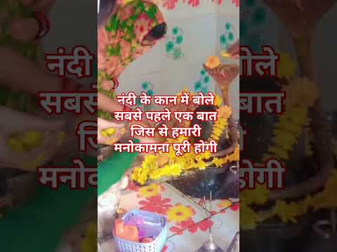 नंदी के कान में बोले सबसे पहले एक बात जिस से हमारी मनोकामना पूरी होगी#shortvideo #panditpradeepmis