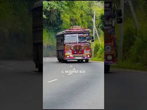 *නුවරඑළියේ යන ෆයර් ගර්ල් 🔥 ගින්දර කෙල්ල 💙*#firegirl #bus #musicremix #viralshorts