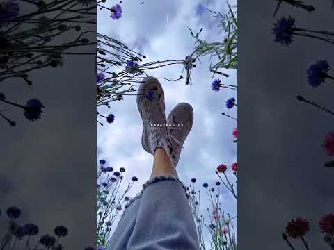 LYRICS song 💐#shortvideo #viralvideo #love #trending #shortsfeed #aesthetic #whatsappstatus #love