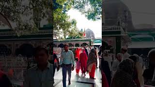 kaliyar ke raja #trendingshorts #dargahsarif #viralvideo #shortvideo #kaliyarsharifdargah #youtube