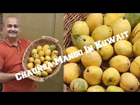 A Visit To Asian Grocery Store||To Buy Chaunsa Mango||mobi's world #asiangrocerystore #chaundamango