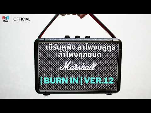 เบิร์นหูฟัง ลำโพงบลูทูธ ลำโพงซาวด์บาร์ ลำโพงทุกชนิด | Burn In | Ver.12