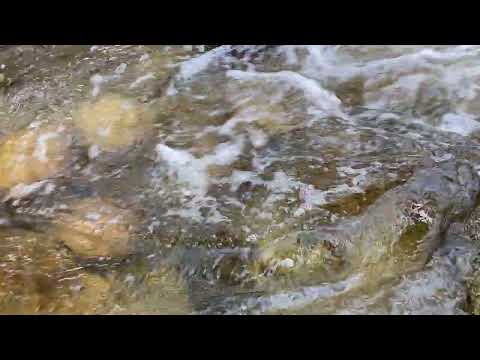 Remote Reiki  ~ Love ~ Energy ~ Broadcast Healing Mountain Stream Meditation #2