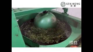 茶知識 體驗 學習 文山包種茶製程