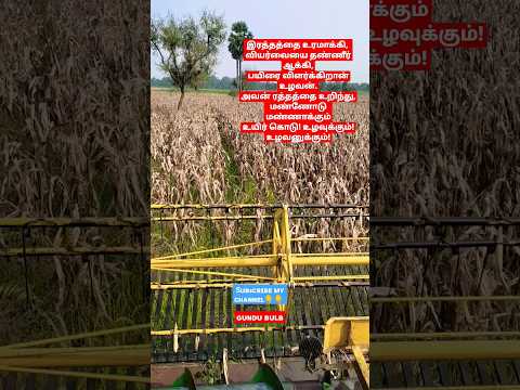 #vivasayam #vivasayi #trending #trend #tamil #tamilvlog #tamilstatus #natural #love #treanding #pain